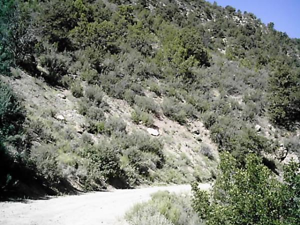 A dirt road winding through a hillside covered with sparse shrubs and small trees, under a clear blue sky. Edge Loop mountain bike trail.