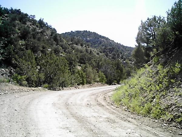 A winding dirt road surrounded by green shrubs and trees, set against a backdrop of rolling hills under a clear blue sky. The road curves to the left, leading into the natural landscape. Edge Loop mountain bike trail.