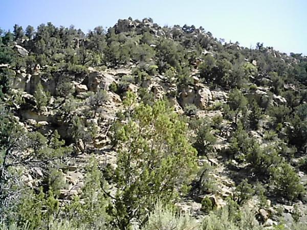 A rocky hillside covered in green shrubs and small trees under a clear blue sky. The terrain features boulders and varied vegetation, creating a natural and rugged landscape. Edge Loop mountain bike trail.