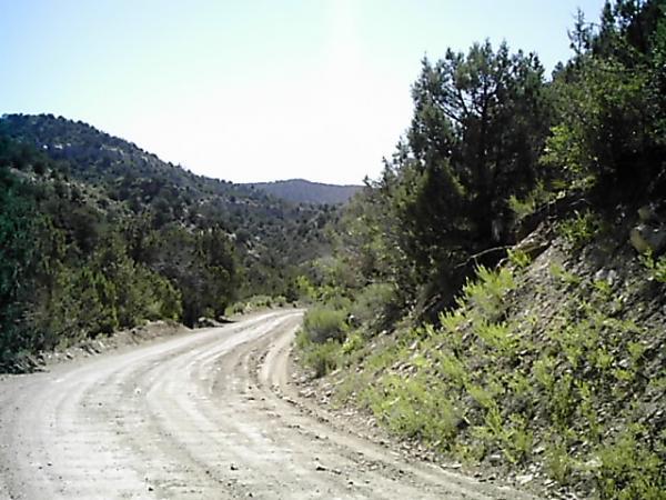 Winding dirt road surrounded by green shrubs and trees, leading into a mountainous landscape under a clear blue sky. Edge Loop mountain bike trail.