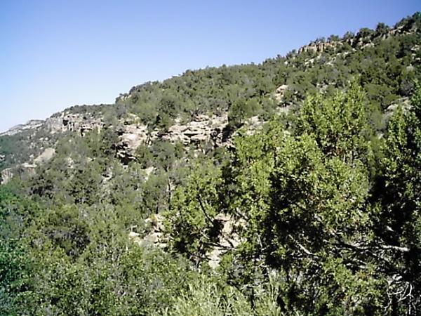 A scenic view of a rocky hillside covered with dense greenery under a clear blue sky. The landscape features a mix of shrubs and trees, with rocky formations visible in the background, creating a natural and tranquil environment. Edge Loop mountain bike trail.
