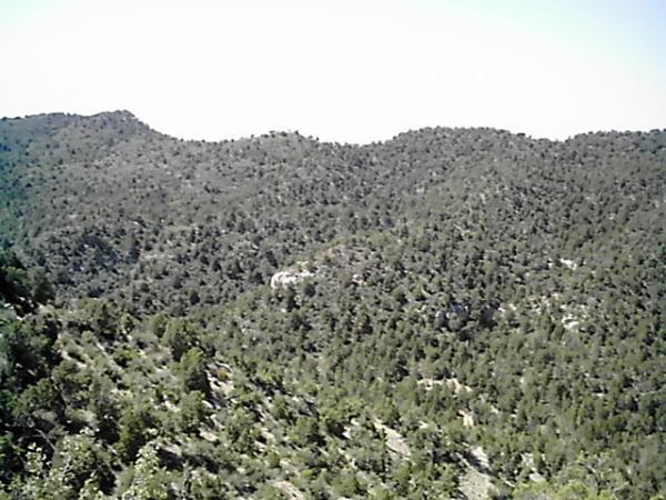 A panoramic view of rolling hills covered in dense greenery, with a clear blue sky in the background. The landscape features various shades of green from the trees, and the hills create a natural, undulating horizon. Edge Loop mountain bike trail.