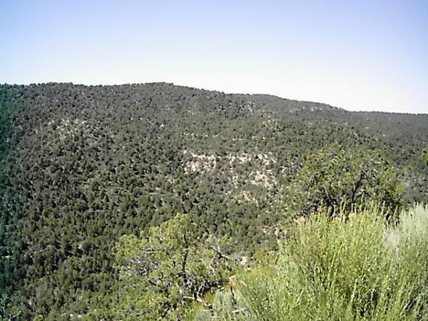 Lush green hills covered in dense vegetation under a clear blue sky. The landscape features a mix of trees and shrubs, illustrating a serene, natural environment. Edge Loop mountain bike trail.