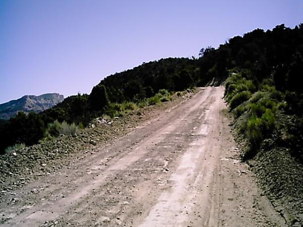 A dirt road winding through a mountainous area, flanked by greenery and sparse vegetation under a clear blue sky. The path leads uphill towards the horizon, with rocky terrain visible on either side. Edge Loop mountain bike trail.