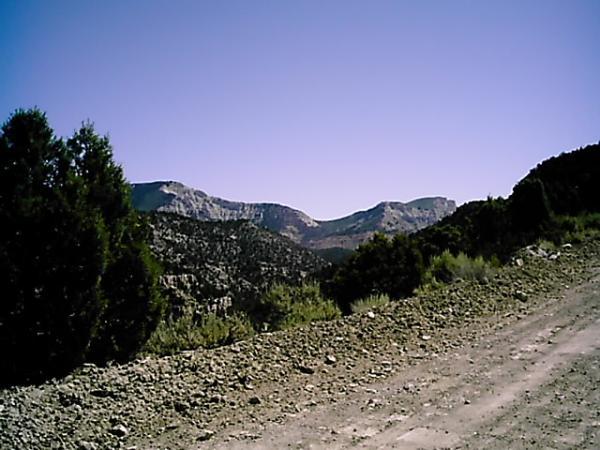 A rocky dirt road lined with green shrubs leads towards a mountainous landscape under a clear blue sky. The mountains in the background are rugged and expansive, showcasing varying elevations and textures. Edge Loop mountain bike trail.