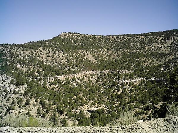 A mountainous landscape featuring green vegetation, rocky terrain, and a clear blue sky. The scene includes a prominent hilltop and stretches of tree-covered slopes, typical of a natural wilderness area. Edge Loop mountain bike trail.