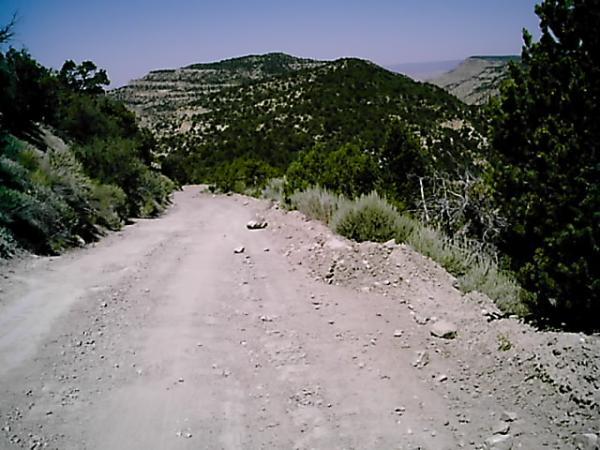 A dusty dirt road winding through a mountainous landscape, flanked by shrubs and trees. The path leads towards distant green hills and mesas under a clear blue sky. Edge Loop mountain bike trail.