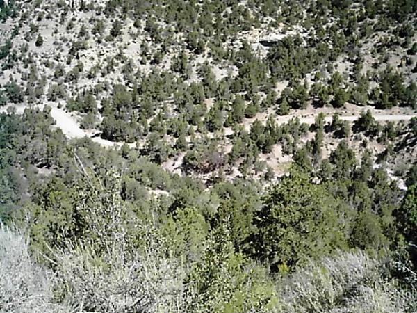 Aerial view of a mountainous terrain featuring dense green vegetation, including conifer trees, and a winding dirt road navigating through the landscape. Edge Loop mountain bike trail.