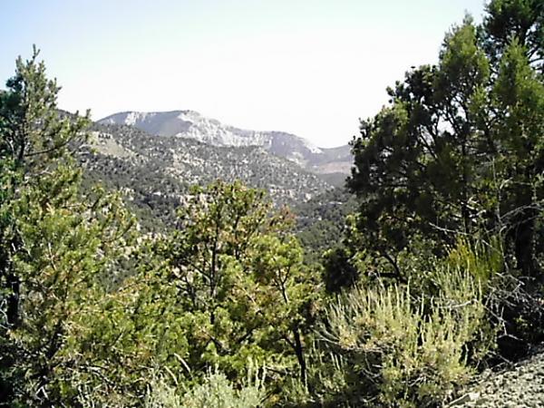 A scenic view of mountains in the distance, framed by greenery in the foreground. The landscape features a mix of trees and shrubs, with a clear sky above. The mountains display natural rocky outlines and varying shades of gray and green, indicating a rugged terrain. Edge Loop mountain bike trail.