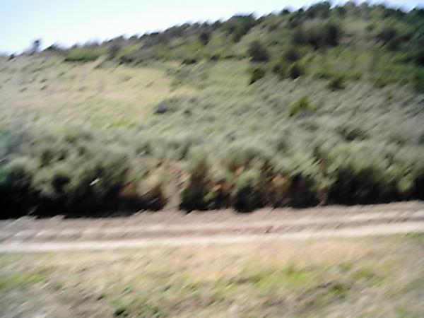 A blurred landscape featuring rolling hills covered in green vegetation, with a dirt path running along the foreground. Edge Loop mountain bike trail.