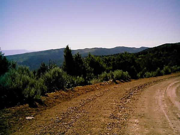A winding dirt road surrounded by greenery leads into the mountains, with rolling hills visible in the background under a clear blue sky. The landscape features patches of shrubs and trees, creating a natural, serene environment. Edge Loop mountain bike trail.