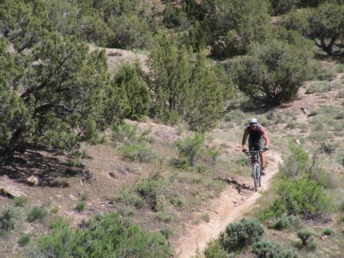 A cyclist in a helmet rides a mountain bike along a dirt trail surrounded by greenery and shrubs on a sunny day. Edge Loop mountain bike trail.