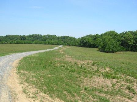 A winding gravel path through a grassy field, bordered by a line of trees in the background under a clear blue sky. 3rd Battle Of Winchester Trail mountain bike trail.