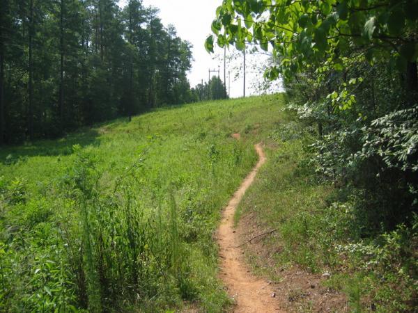 A winding dirt path leads through a green, grassy area flanked by trees, with a power line visible in the background under a clear sky. Forks Area Trail System (FATS) mountain bike trail.