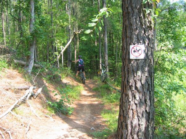 A mountain biker riding on a narrow dirt trail surrounded by dense green trees, with a no bicycles sign affixed to a tree in the foreground. Forks Area Trail System (FATS) mountain bike trail.