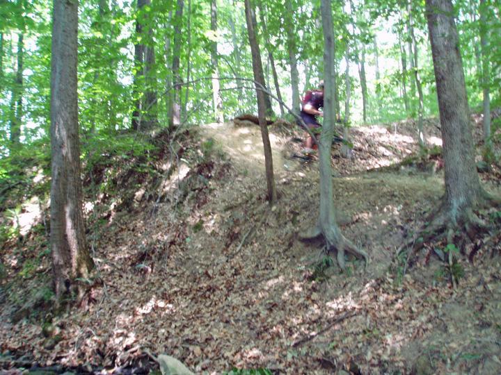A mountain biker navigating a dirt trail on a hillside surrounded by dense green trees and foliage. The scene captures the essence of outdoor adventure in a natural setting. Dillon State Park mountain bike trail.
