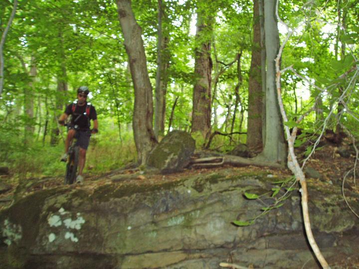 A mountain biker navigates a rocky trail surrounded by dense green trees in a forested area. The biker is wearing a helmet and has a backpack, and is positioned on a large rock formation. Dillon State Park mountain bike trail.