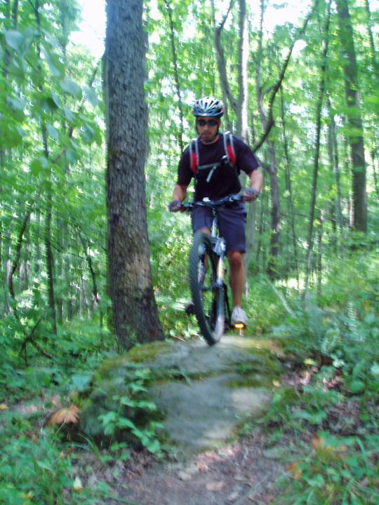 A mountain biker navigating over a rock on a trail surrounded by lush green trees and vegetation in a forest setting. The cyclist wears a helmet and sunglasses, with a backpack and is focused on maintaining balance. Sunlight filters through the leaves, creating a vibrant outdoor atmosphere. Dillon State Park mountain bike trail.