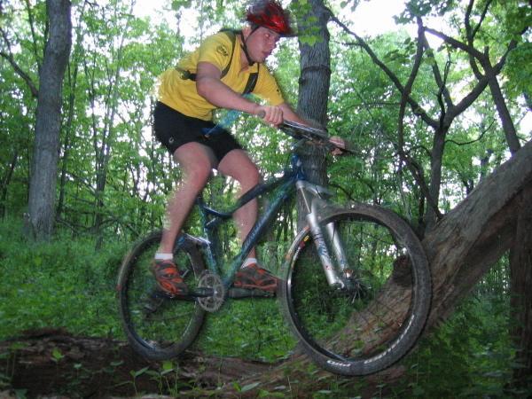A mountain biker wearing a yellow shirt and a red helmet jumps over a fallen tree in a dense green forest. The cyclist is in mid-air, demonstrating a dynamic action shot on a rugged trail. Beverly Park mountain bike trail.