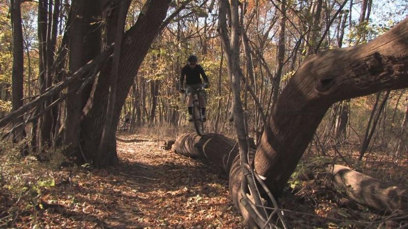 A mountain biker navigating a forest trail, jumping off a fallen log surrounded by autumn foliage. Beverly Park mountain bike trail.