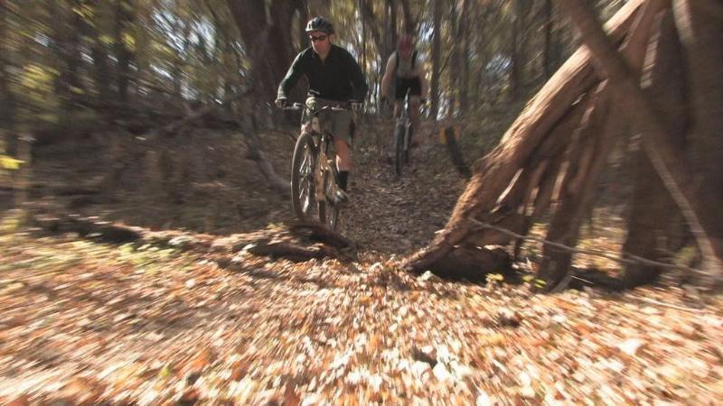 Two mountain bikers navigating a wooded trail covered in autumn leaves. One biker is actively jumping over a fallen log, while the other follows closely behind. The scene captures the excitement of outdoor biking in a forested environment. Beverly Park mountain bike trail.