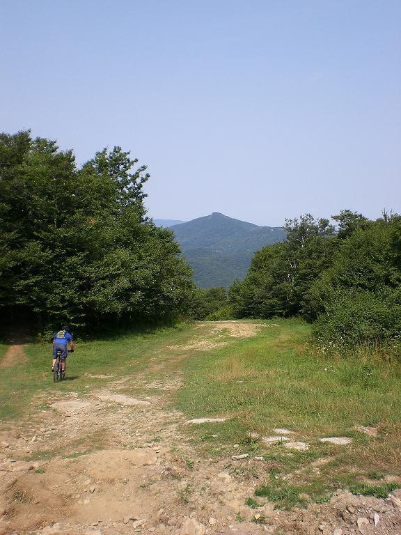 A cyclist riding on a gravel path surrounded by lush greenery, with a mountain peak visible in the background under a clear blue sky. Sugar Mountain Resort mountain bike trail.