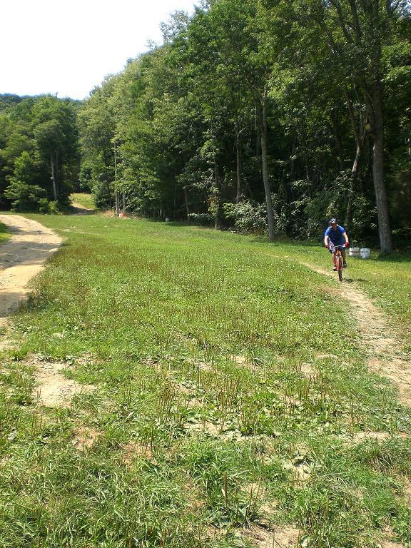 A mountain biker rides along a dirt path through a grassy area, surrounded by trees under a clear sky. The scene captures a lush, green landscape perfect for outdoor activities. Sugar Mountain Resort mountain bike trail.