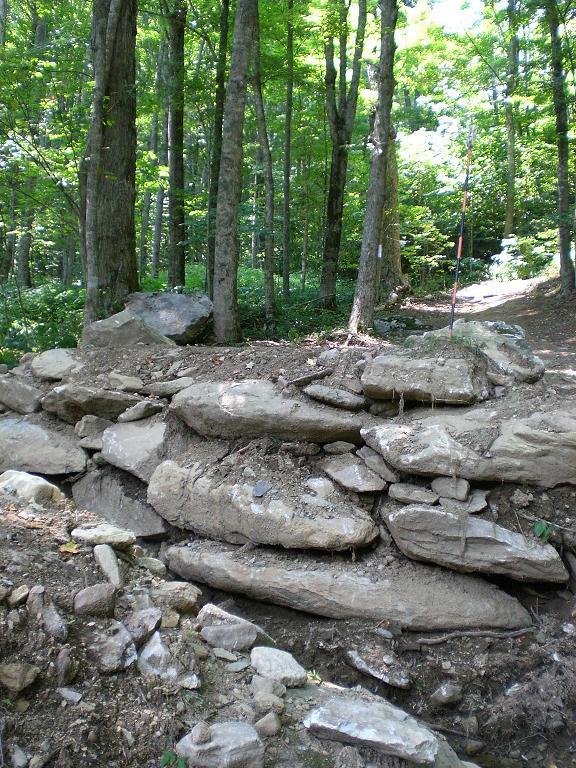 A rocky outcrop in a wooded area, featuring layered stones and patches of soil, surrounded by tall trees with green foliage. A dirt path is visible in the background, leading further into the forest. Sugar Mountain Resort mountain bike trail.