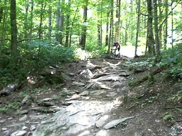 A cyclist navigating a rocky trail in a lush green forest, surrounded by tall trees and dense foliage. The trail is rugged, with exposed stones and roots, creating a challenging terrain for mountain biking. Sugar Mountain Resort mountain bike trail.