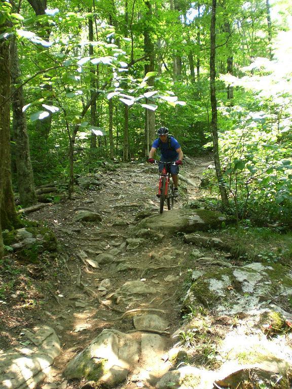 A mountain biker navigating a rocky trail surrounded by lush green foliage in a forest. The path is uneven with large stones and tree roots, indicating a challenging terrain for cycling. Sugar Mountain Resort mountain bike trail.