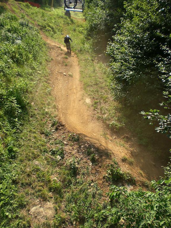 A mountain biker riding down a dirt trail surrounded by greenery, with a ski lift visible in the background. The path is steep and carved into the hillside, showcasing the rugged terrain and natural vegetation. Sugar Mountain Resort mountain bike trail.