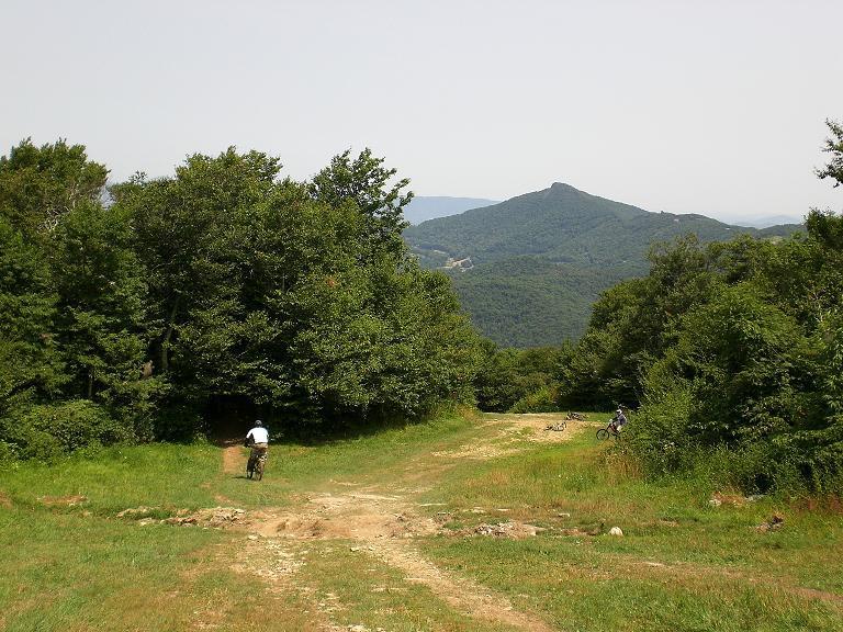 A scenic mountain bike trail winding through lush greenery, with two cyclists visible in the distance. The path runs downhill towards a vibrant green meadow, surrounded by trees, leading to a backdrop of rolling mountains under a clear sky. Sugar Mountain Resort mountain bike trail.