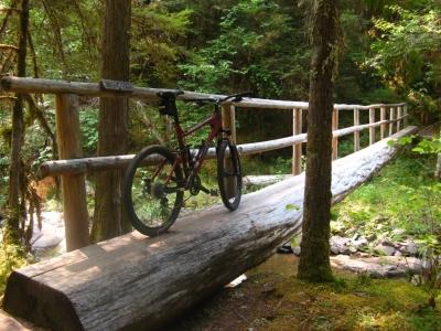A mountain bike resting on a wooden bridge made from a log, surrounded by lush green trees and vibrant foliage in a forest setting. Middle Fork Trail mountain bike trail.