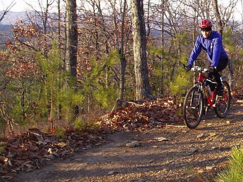 A person riding a mountain bike along a gravel trail in a wooded area, surrounded by trees and fallen leaves, wearing a red helmet and a blue jacket. The scene captures the outdoors during a clear day. Little Mountain Trail System mountain bike trail.