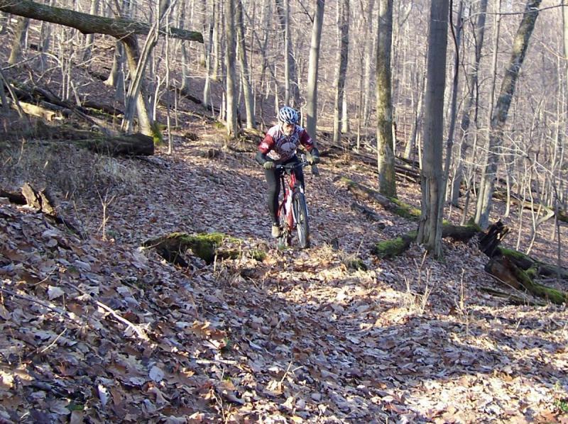 A mountain biker riding on a leaf-covered trail through a wooded area, surrounded by bare trees and natural scenery. The biker is wearing a helmet and riding a red mountain bike, focusing on navigating the uneven terrain. Mountwood mountain bike trail.