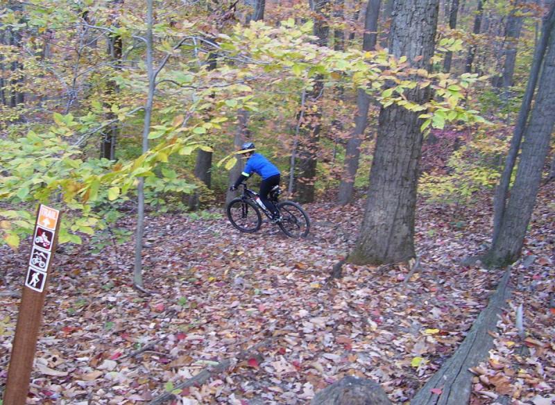 A person riding a mountain bike through a wooded trail covered in autumn leaves. The surrounding trees display vibrant fall colors, and a trail sign indicating bike and pedestrian access is visible in the foreground. Mountwood mountain bike trail.