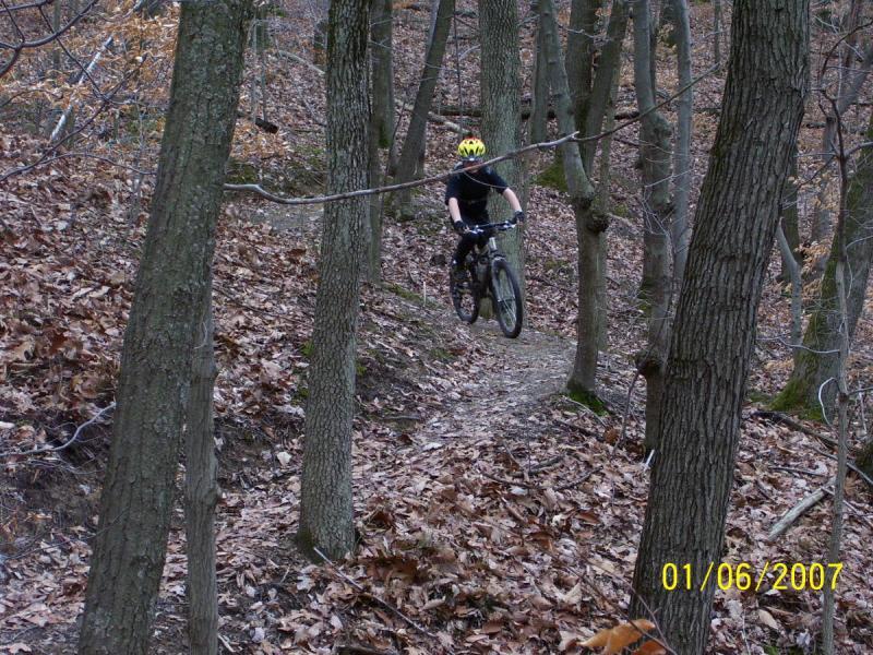 A mountain biker navigating a narrow trail surrounded by tall trees and autumn leaves. The cyclist is wearing a yellow helmet and riding on a winding path. Mountwood mountain bike trail.