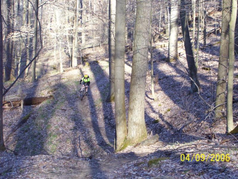 A mountain biker wearing a bright yellow helmet and jacket navigates a winding trail through a forest, surrounded by tall trees and a carpet of fallen leaves. The sunlight filters through the branches, casting shadows on the path, creating a serene and active outdoor scene. Mountwood mountain bike trail.