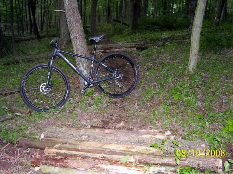 A black mountain bike leaning against a tree in a green, wooded area with logs on the ground and foliage surrounding it. Mountwood mountain bike trail.