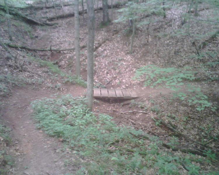 A narrow wooden bridge spans a small ravine in a wooded area, surrounded by trees and lush green foliage. A dirt trail curves left and right, leading through the forest floor covered with fallen leaves and plants. Mountwood mountain bike trail.
