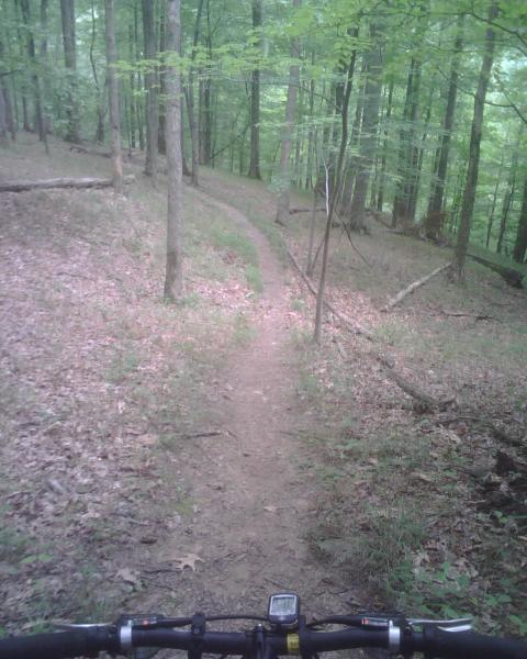 A narrow dirt biking path winding through a lush green forest, surrounded by trees and undergrowth. The trail is lined with fallen leaves and small branches, creating a natural and serene atmosphere. The view is taken from a cyclist's perspective, showing the handlebars of a mountain bike in the foreground. Mountwood mountain bike trail.