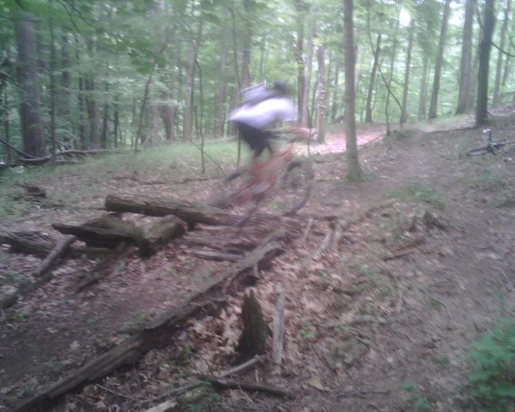 A cyclist in motion jumps over a log on a forest trail, surrounded by trees and greenery. The image captures the swift movement of the bike as it navigates the uneven terrain. Mountwood mountain bike trail.