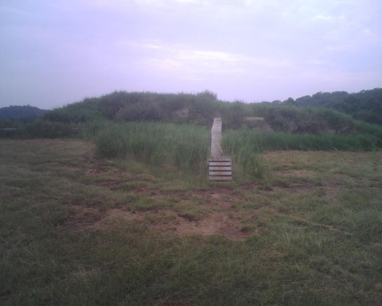 A wooden walkway leads through tall grass towards a small raised hill, under a cloudy sky at dusk. Mountwood mountain bike trail.