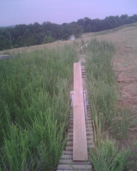 A narrow wooden walkway surrounded by tall grass, leading through a rural landscape with trees in the background and a winding path visible. The sky is overcast, giving a muted atmosphere to the scene. Mountwood mountain bike trail.