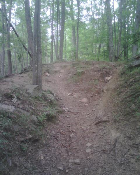 A winding dirt path leading up a slight incline through a lush green forest, surrounded by tall trees and rocky terrain. Mountwood mountain bike trail.