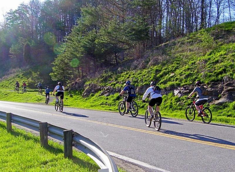A group of cyclists riding along a sunny, winding road surrounded by greenery and trees, with a mix of uphill and flat terrain. The cyclists are dressed in athletic clothing and wearing helmets, enjoying a recreational biking activity. Mountwood mountain bike trail.