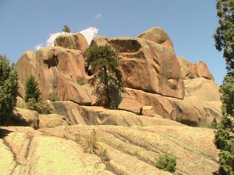 Rocky landscape featuring towering boulders and scattered pine trees under a clear blue sky. Chair Rocks mountain bike trail.