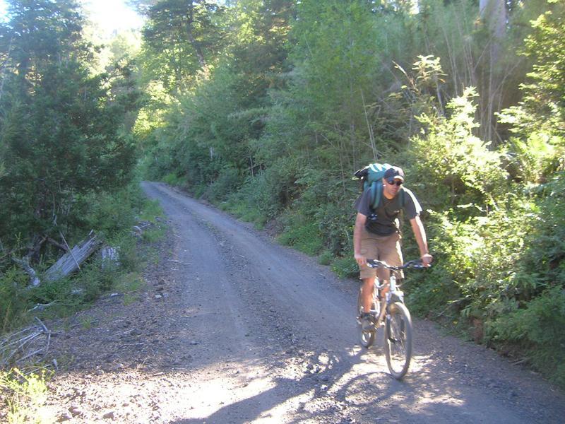 A person riding a mountain bike along a dirt path surrounded by lush greenery, with tall trees lining the trail. The cyclist is wearing a backpack and sunglasses, enjoying a sunny day outdoors. Parque Huilo Huilo- Choshuenco Volcano mountain bike trail.