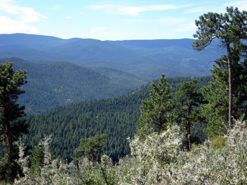 A scenic view of a mountainous landscape, featuring lush green forests and rolling hills under a partly cloudy sky. The image captures a serene natural environment, with tall pine trees in the foreground and layers of mountains fading into the distance. Bergen Peak mountain bike trail.