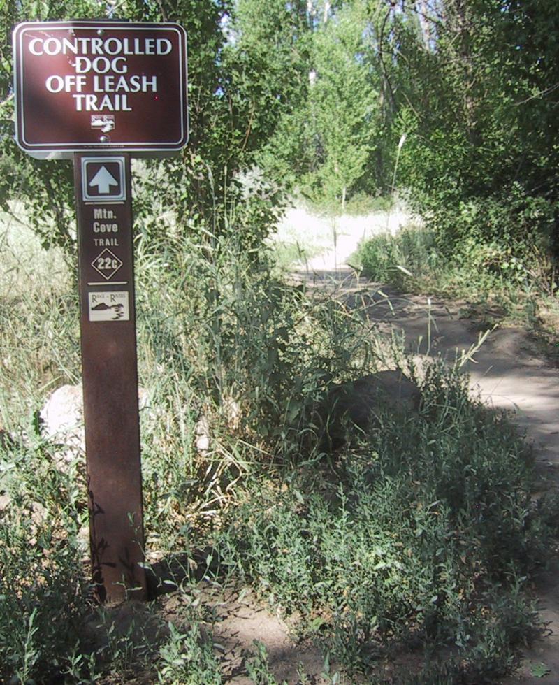 Sign indicating a dog-friendly, off-leash trail, surrounded by greenery and leading into a natural landscape. The trail sign reads "Controlled Dog Off Leash Trail" with directional and trail name information below. Shane's Loop mountain bike trail.